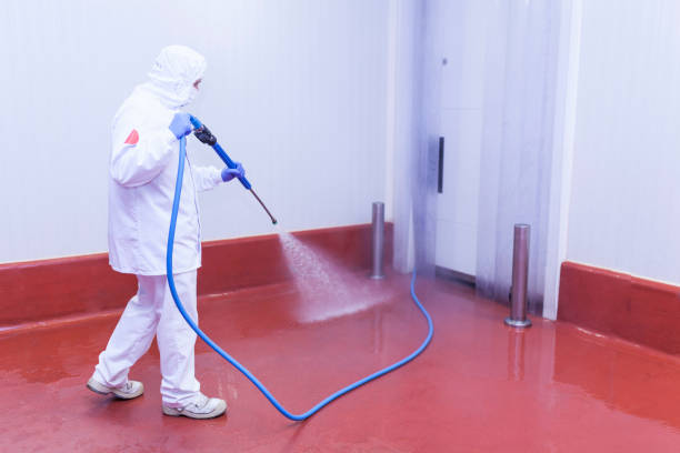 Best Driveway Pressure Washing  in Hillcrest Heights, MD